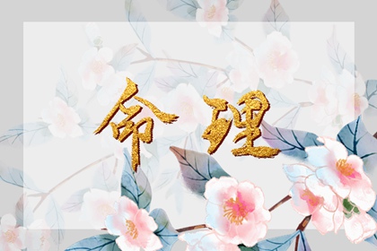 择吉黄历每日宜忌,择吉日历,结婚择吉日